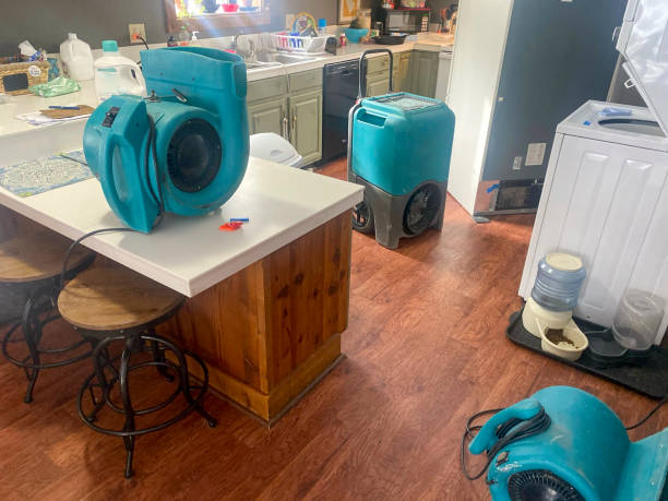 Best 24-hour water damage restoration  in Mantua, UT