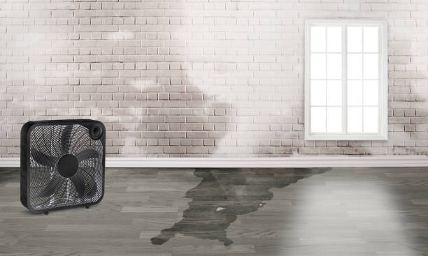 Best Commercial water damage restoration  in Mantua, UT