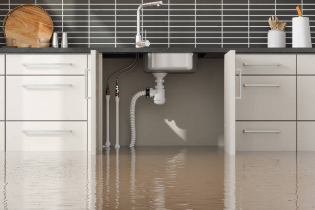 Best 24/7 water damage repair  in Mantua, UT