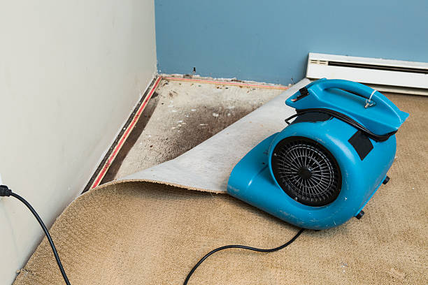 Best Water damage contractors near me  in Mantua, UT